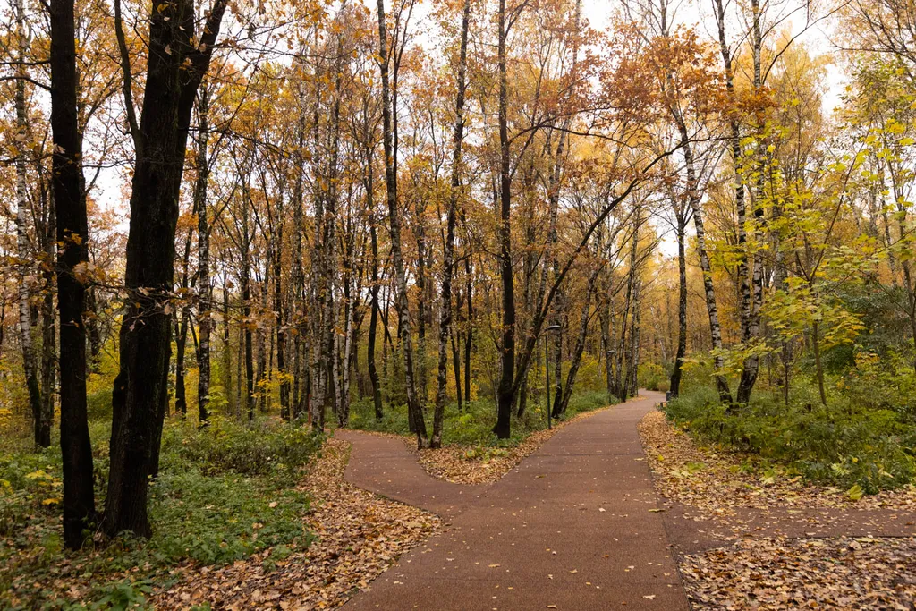 Новая дизайнерская студия