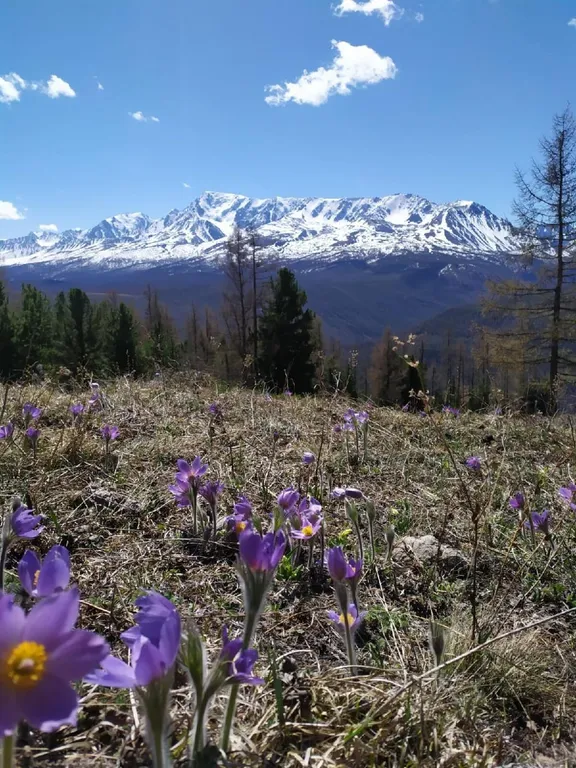 В гостях У Лешего