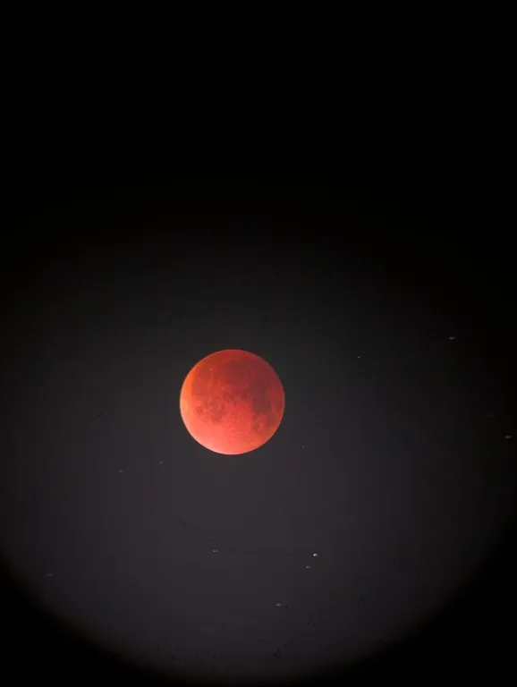 Дизайнерская евро двушка на 17 этаже с панорамным остеклением и видом на город