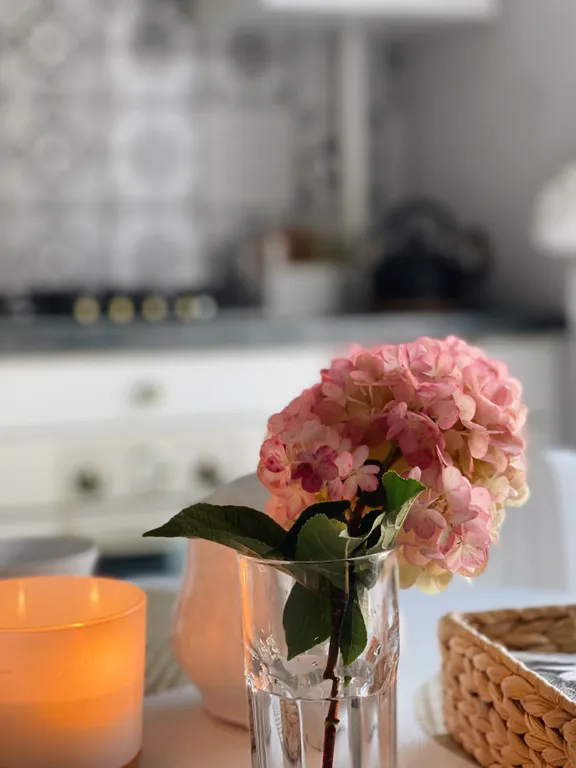 Квартира Светлая, уютная, кружевная квартира у моря — Светлогорск