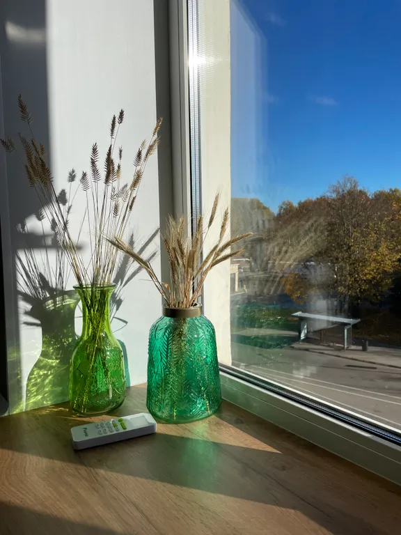 Апартаменты у стен Кремля