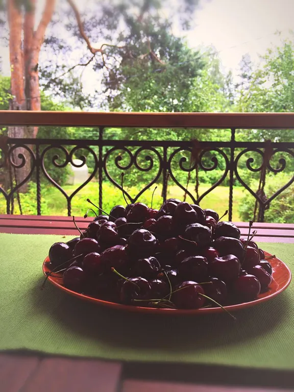 Уютный дом в рядом с лесом