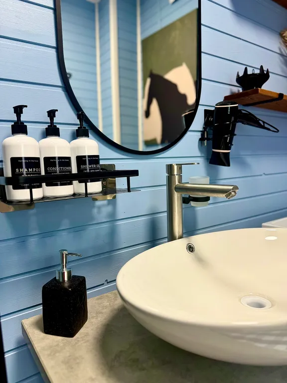 Сканди дом-дача У Мишутки