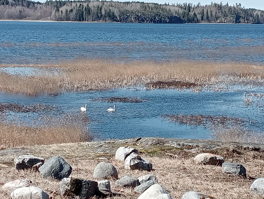 Гостевой дом Мункинмяки на берегу озера
