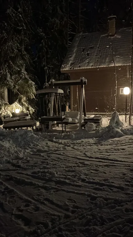 Сосновое шале на берегу Сямозера