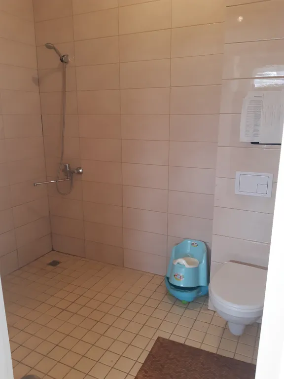 Коттедж Коттедж Дача в Кокосах — Разметелево