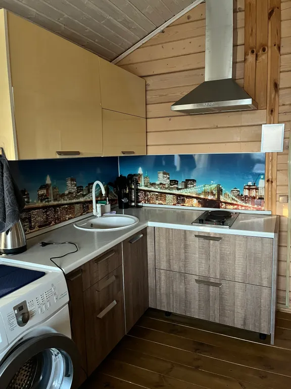 Дом Чуковский на берегу Рузского водохранилища