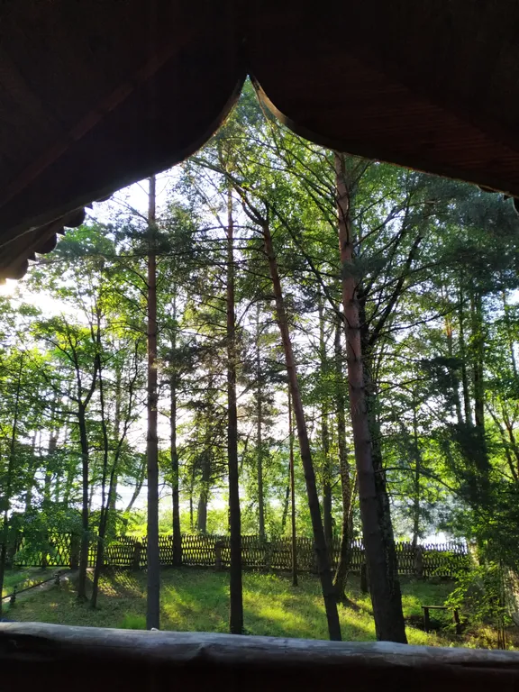 Дом в лесу на озере Селява