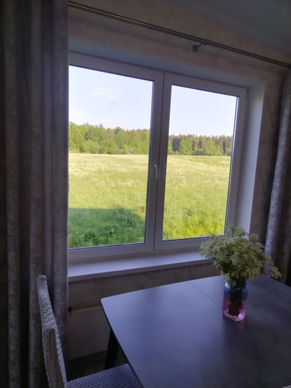 Уютный дом на Ладоге