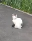 Евгений