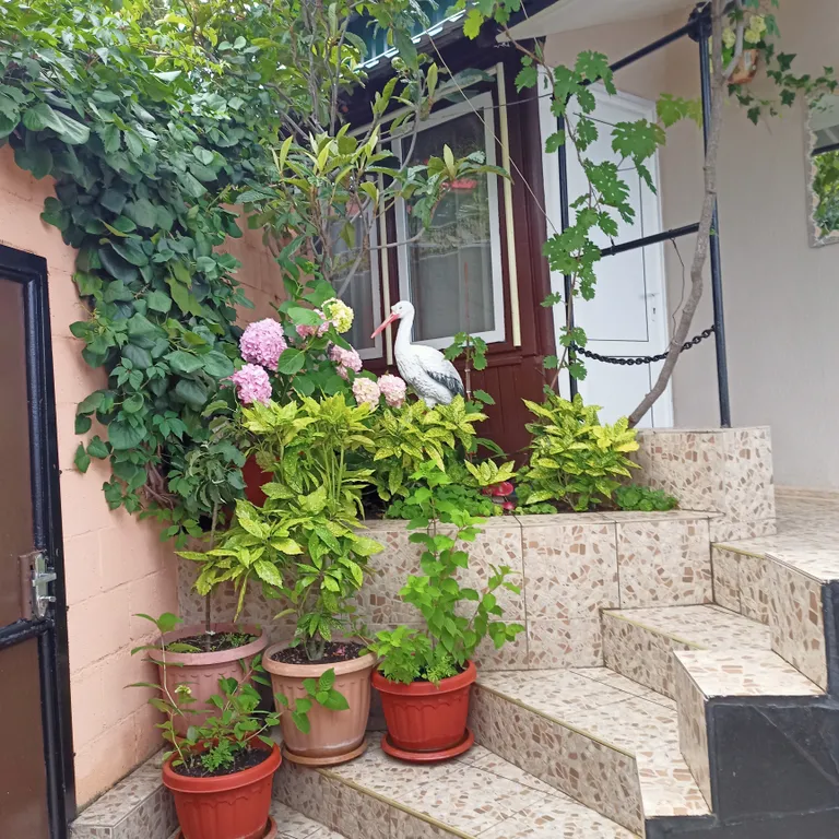 Уютный домик с видом на море и горы