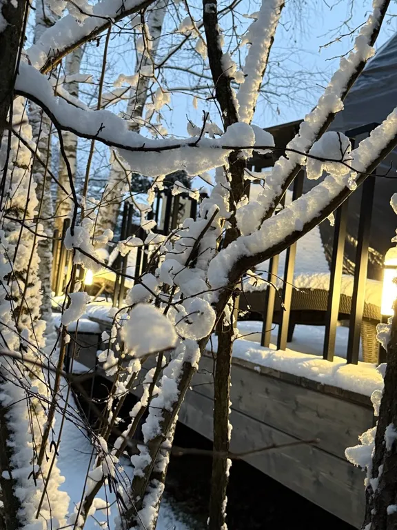 Новая сфера для глэмпинга Бёрд&Self vibe с дизайнерским интерьером