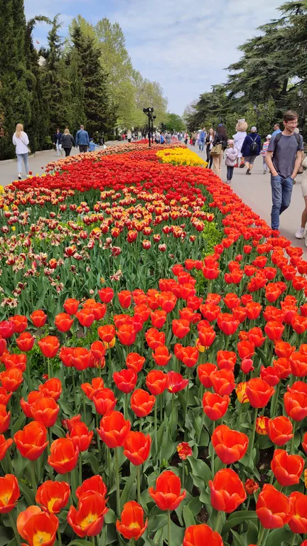 Квартира 1-комнатная Квартира — Севастополь