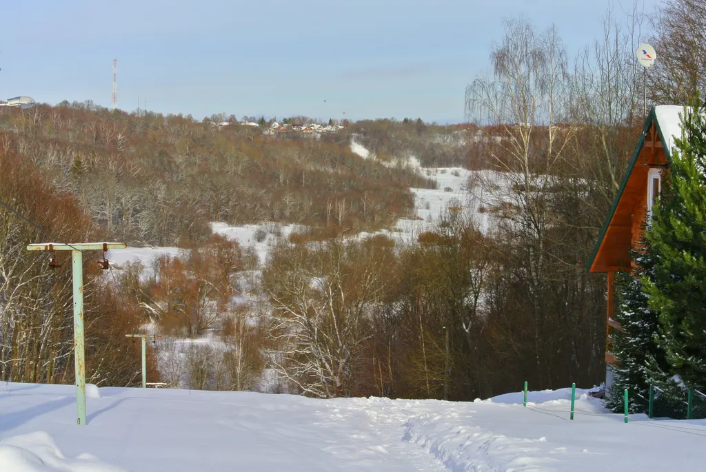 Шале на склоне Волен Степаново