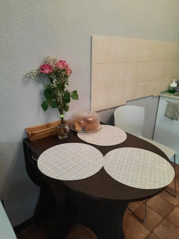 Большая уютная студия в центре города