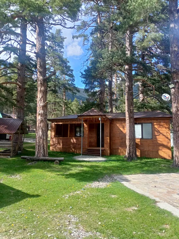 Квартира Квартира Уютный 2-х комнатный люкс для отдыха в лесной зоне — Архыз