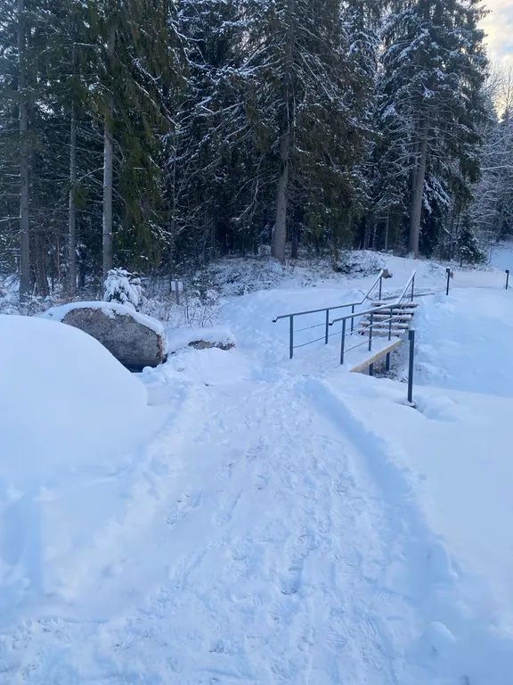 Номер с видом на тихое лесное озеро, лес и гору