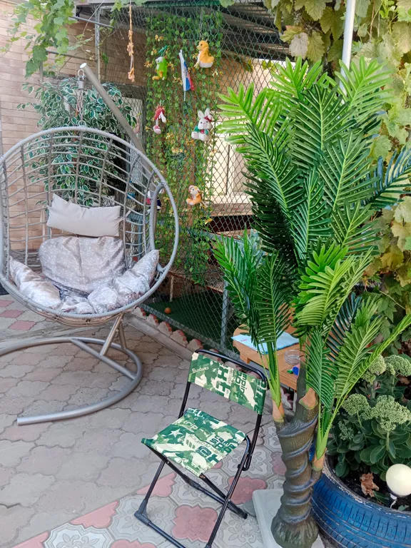 Уютная комната-студия в центре города с цветущим двориком с фонтанчиками