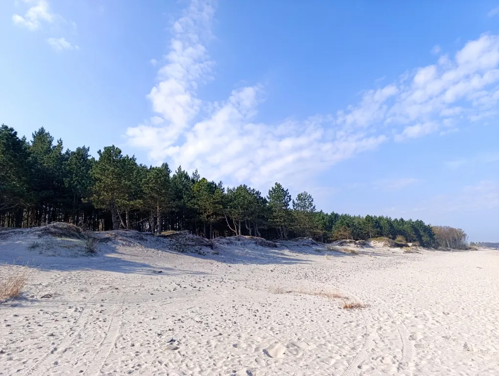 Гармония с природой в нашем таунхаусе