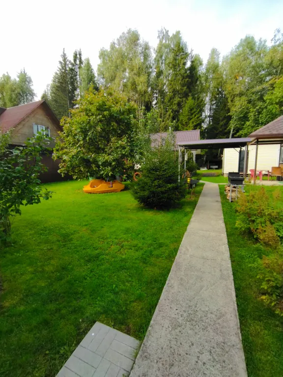 Коттедж Уютный дом в окружении векового леса — Рогачево