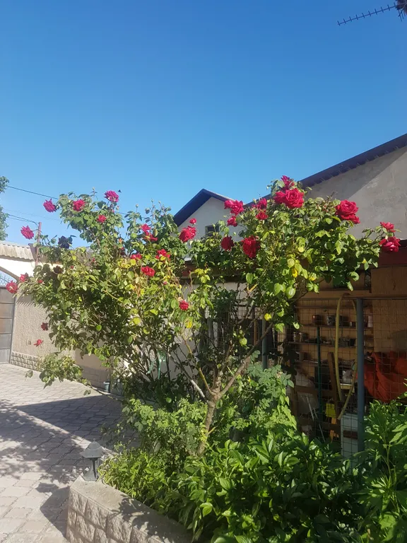 Отдых  в Евпатории,  в частном секторе.