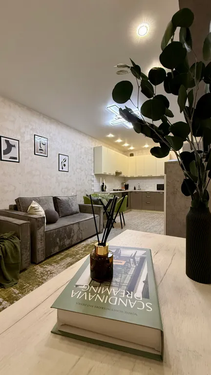 Большая евро2 возле Тула-Арена