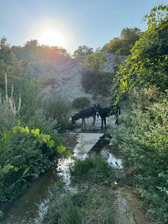 Коттедж Villa Veres — Варваровка