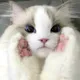 Михаил