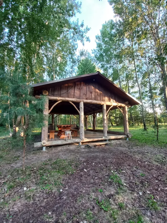 Деревянный дом в лесу рядом с рекой