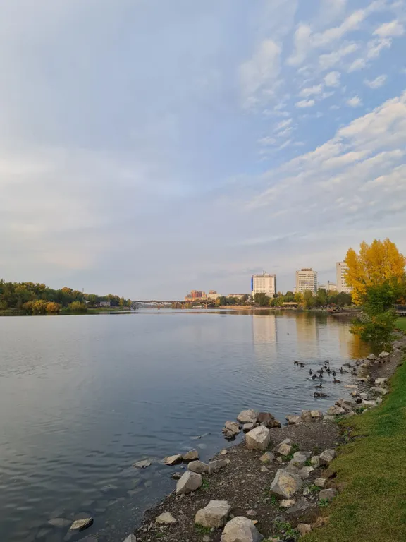 Квартира Квартира Студия Лесная сказка — Красноярск