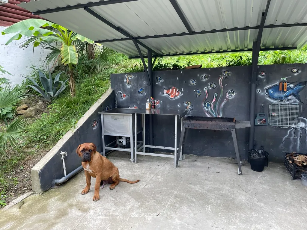 Коттедж 1-комнатный Дом — Сочи