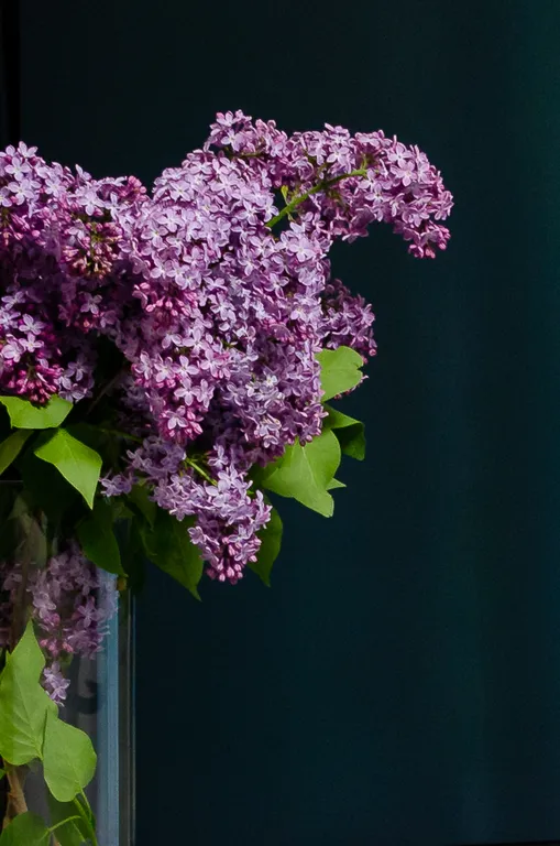 5 минут на машине / 25 пешком до кремля и центра города