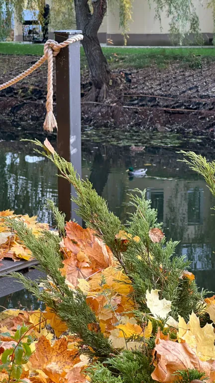 Коттедж Дом с баней, барбекю зоной и большой беседкой — Новый Городок