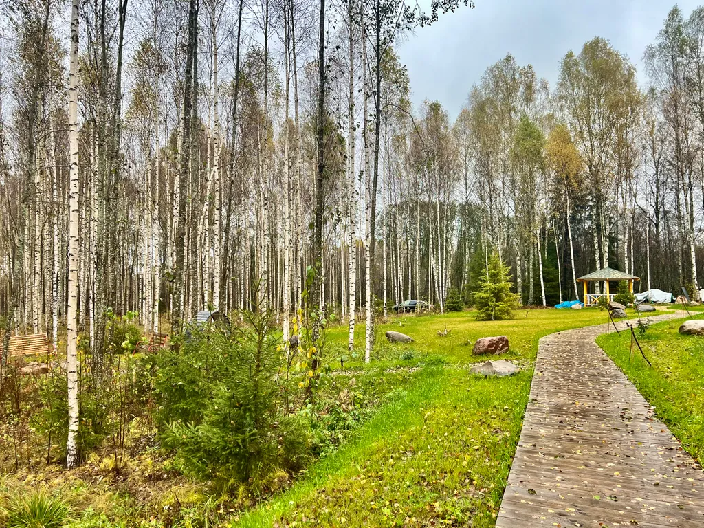 Уютный A-Frame в лесном массиве на берегу реки
