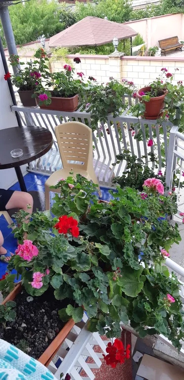 Квартира Комната — Сухум