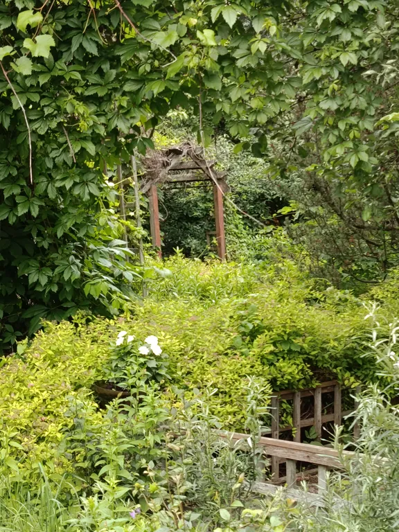 Дом на Зеленоградской в Саду