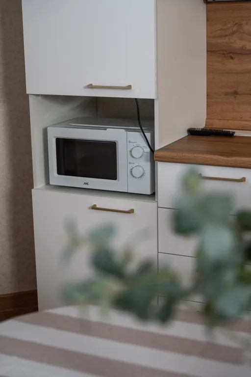 Апартаменты с видом на достопримечательность большую белую Месеть