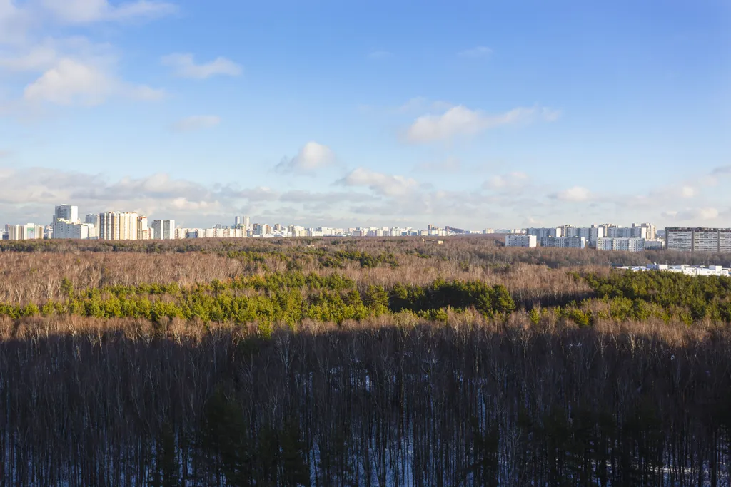Квартира Квартира Уютная 3ка до 6 гостей у аэропорта Внуково — Москва