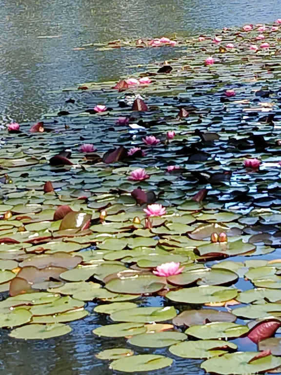 Квартира Уютная 2х комнатная квартира в тихом центре города,недалеко от вокзала — Минск