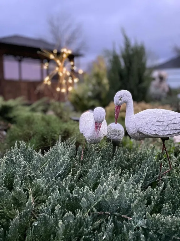 Домик у леса