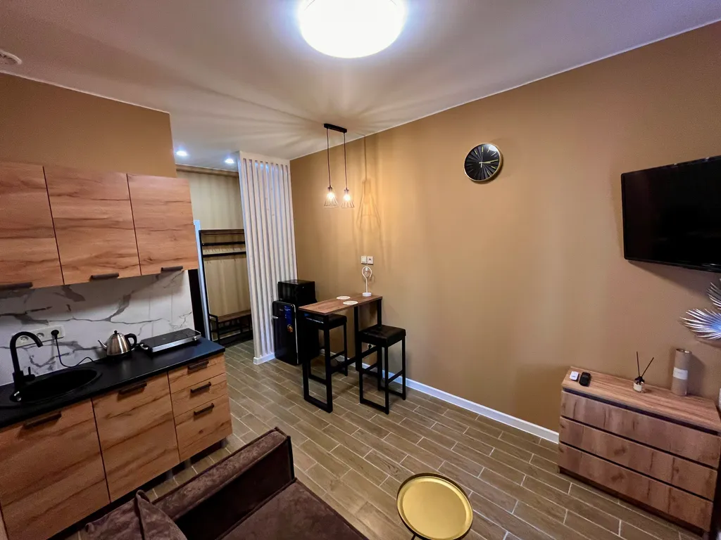 Уютная студия в центре города