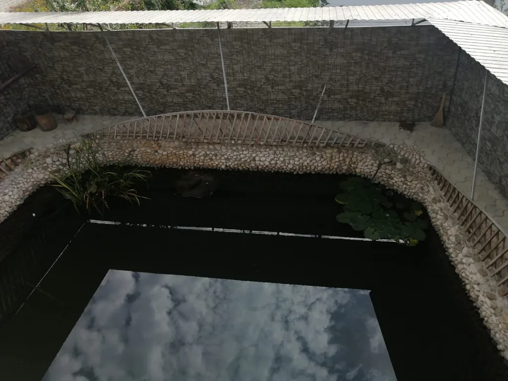 Коттедж Дом с крытым двором и прудом — Апшеронск