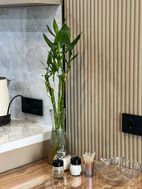 Уютная квартире в центре города