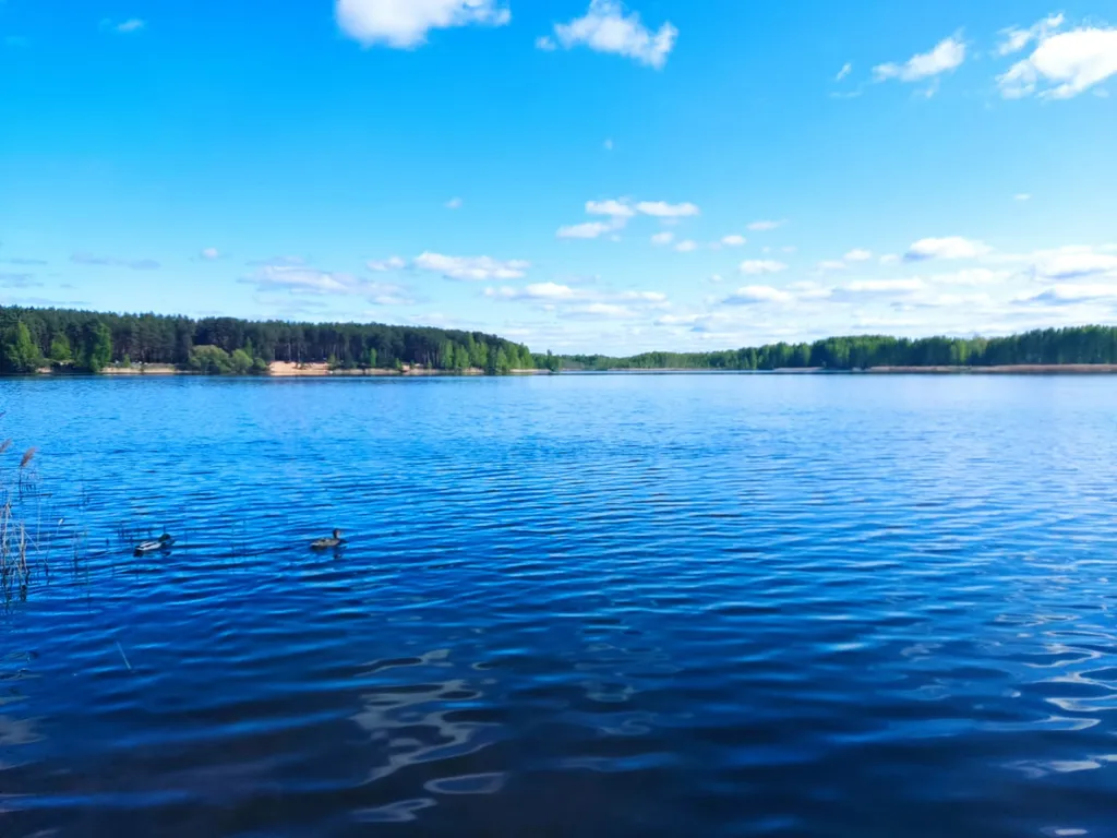 Уютная квартира в новом доме