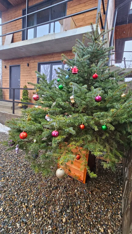 Дом с двумя спальнями и тёплым бассейном