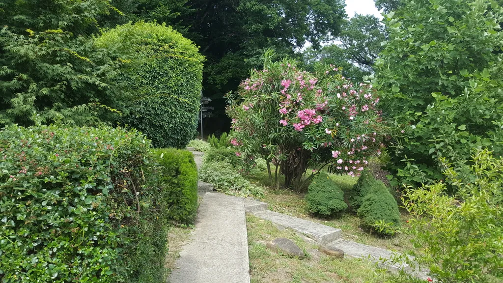 Трёхэтажный таунхаус в живописном месте с большим садом