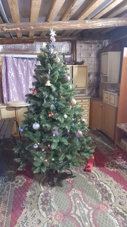 Загородный дом