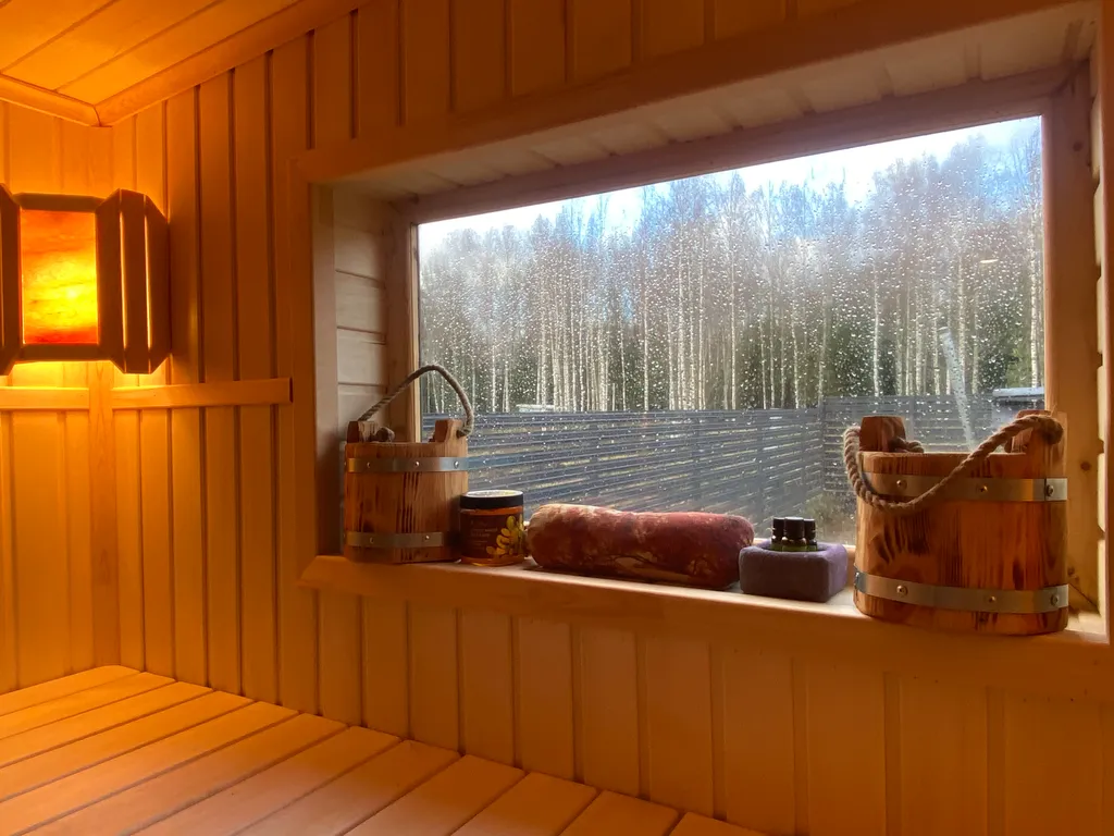 Домик в березах с баней