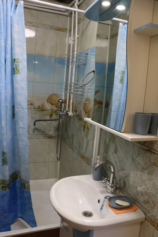 Удобный дом на самом берегу озера Вселуг