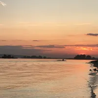 Светлана Петрова